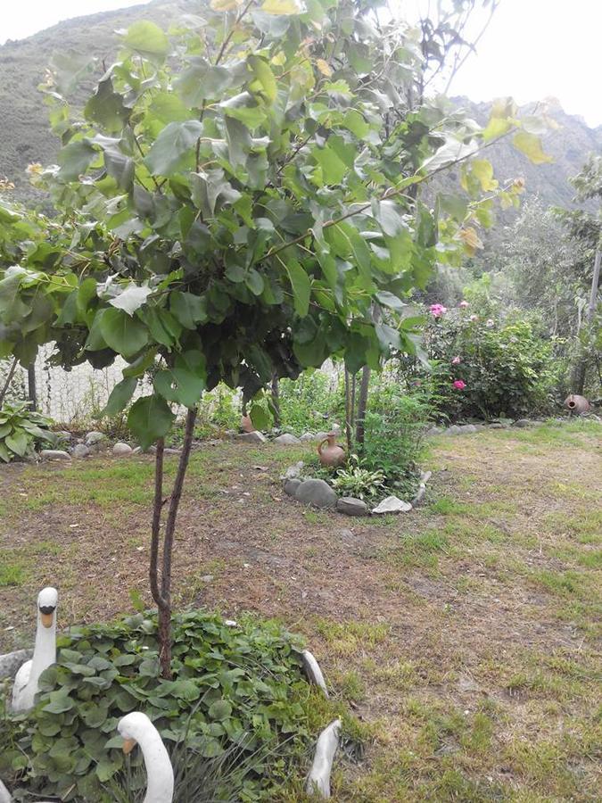 Villa Piano Mtsʼkhetʼa Exteriér fotografie